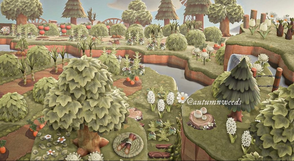 autumnweeds on instagram